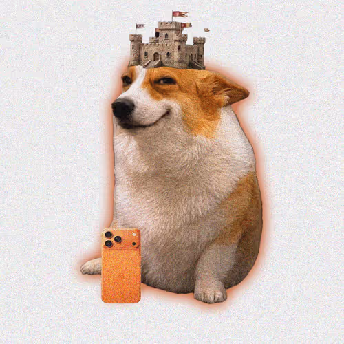 Cash Dogs #7994