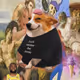 4604