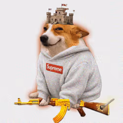 Cash Dogs #9904