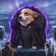 Cash Dogs #9955