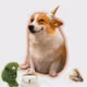 7798