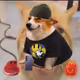 2297
