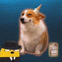 Cash Dogs #1842