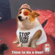 2824