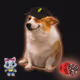 Cash Dogs #5493
