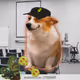 4114