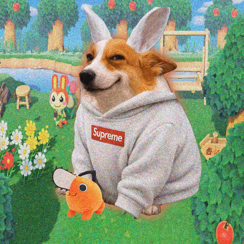 Cash Dogs #9985