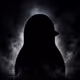Unreveal Pigu