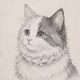 Pencil Purrs #036