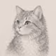 Pencil Purrs #045
