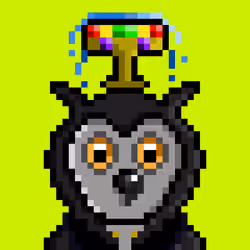 Robinhood Owls #6194