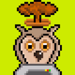 Robinhood Owls #6195