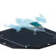 20005