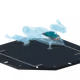 20006
