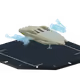 10007