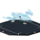 50004
