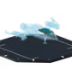 20009