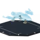 50019