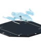 50009