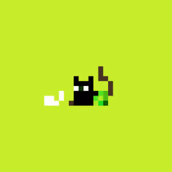 Cash Kitty #852