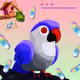 Lovebird Farm #753