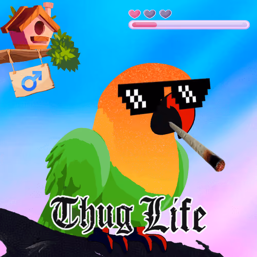 Lovebird Farm #121