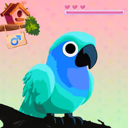 Lovebird Farm #609