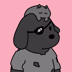 579