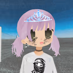 Item Media