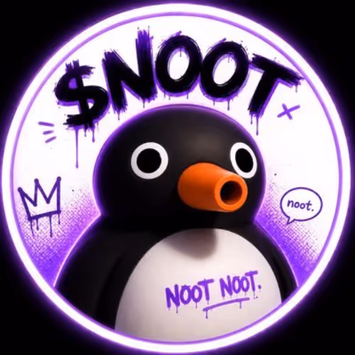 NOOT