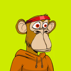 Apes Robinhood Hoodie #211