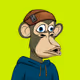 Apes Robinhood Hoodie #251