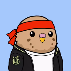 birb #752