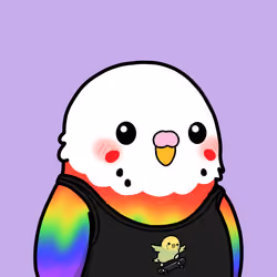birb #577