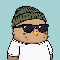 birb #247