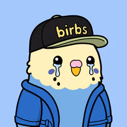 birb #317