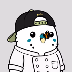 birb #850