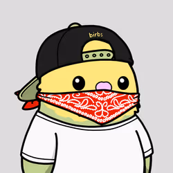 579