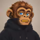 519