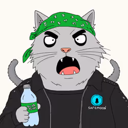Alleycat #2361