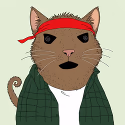 Alleycat #2436