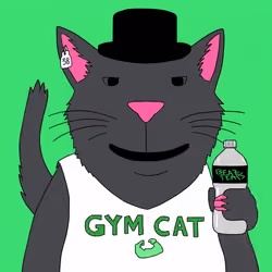 Alleycat #2418