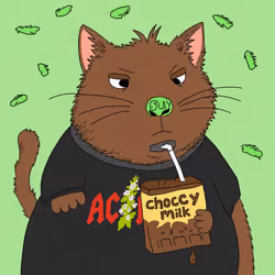 Alleycat #2341