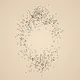 Pixel Feather #03349