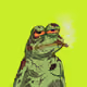Ribbit Reefers #49