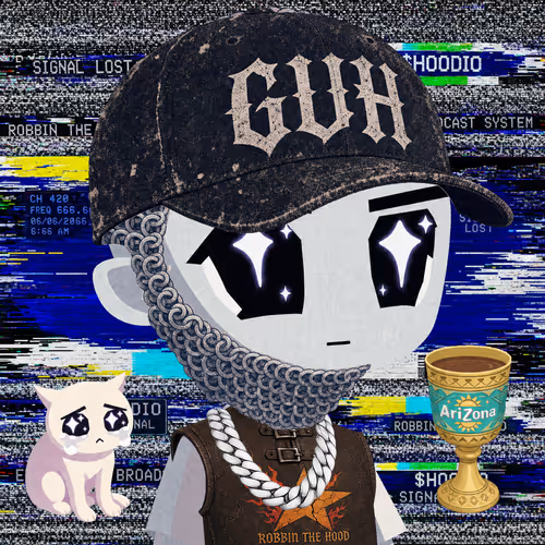 HOODIO #4309