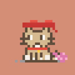 Robinhood Kitty #1981