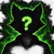 Unknown Raccoon