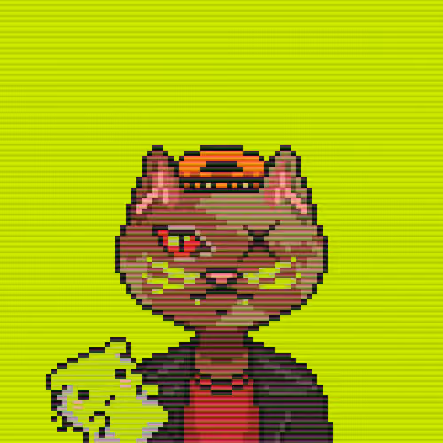 Cash Caat #224