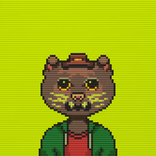 Cash Caat #268